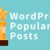 ワードプレスの人気記事を出すプラグイン「WordPress Popular Posts」の表示方法・使い方